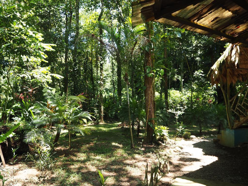 Se Ua Bed & Breakfast Manzanillo  Luaran gambar